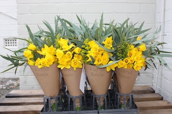 Pre Order A Little Bunch for Daffodil Day Friday 28th August 2020